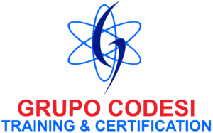 Logo Grupo Codesi - Curso de Wordpress desde cero